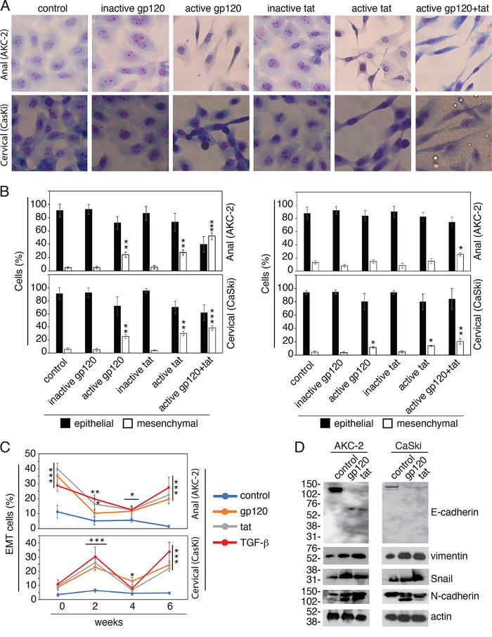 https://cdn.ncbi.nlm.nih.gov/pmc/blobs/92bf/9770004/89711fa96589/spectrum.03622-22-f002.jpg