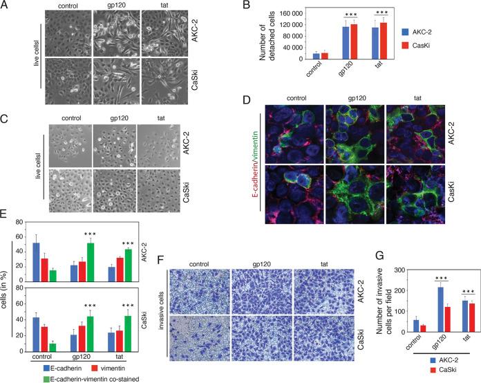 https://cdn.ncbi.nlm.nih.gov/pmc/blobs/92bf/9770004/9c7996722912/spectrum.03622-22-f007.jpg