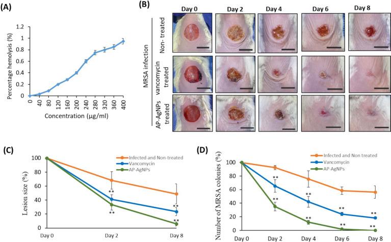 https://cdn.ncbi.nlm.nih.gov/pmc/blobs/92c1/11604631/6b4fd8543dde/fmicb-15-1483637-g008.jpg