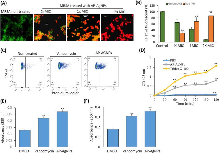 https://cdn.ncbi.nlm.nih.gov/pmc/blobs/92c1/11604631/af262a3c877b/fmicb-15-1483637-g006.jpg