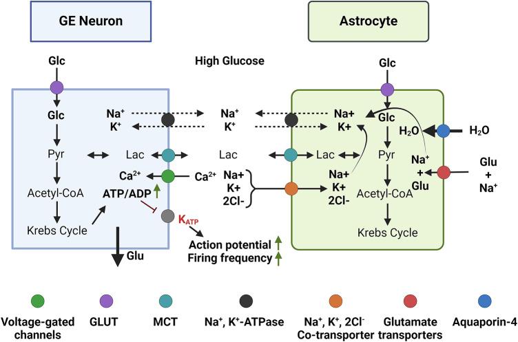 https://cdn.ncbi.nlm.nih.gov/pmc/blobs/92c3/12052982/20e93cf75186/41598_2025_99641_Fig1_HTML.jpg