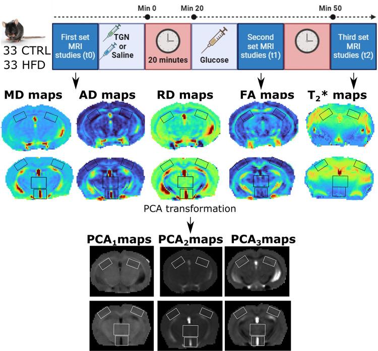 https://cdn.ncbi.nlm.nih.gov/pmc/blobs/92c3/12052982/9bd371eae790/41598_2025_99641_Fig2_HTML.jpg