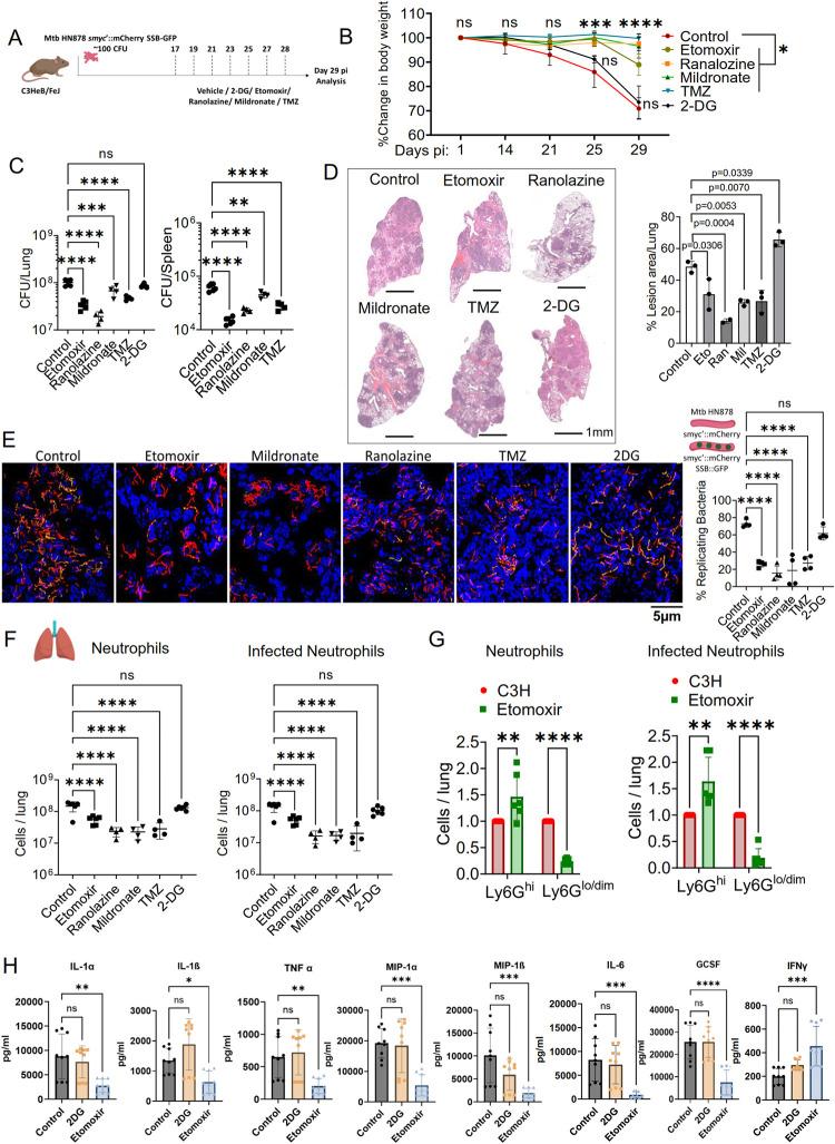 https://cdn.ncbi.nlm.nih.gov/pmc/blobs/92c5/11482725/939858b69db1/ppat.1012188.g004.jpg