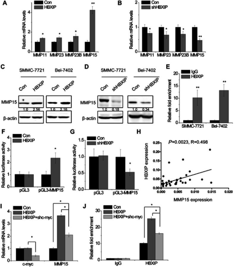 https://cdn.ncbi.nlm.nih.gov/pmc/blobs/92c5/6529033/c23ec76ec2b1/CMAR-11-4529-g0003.jpg