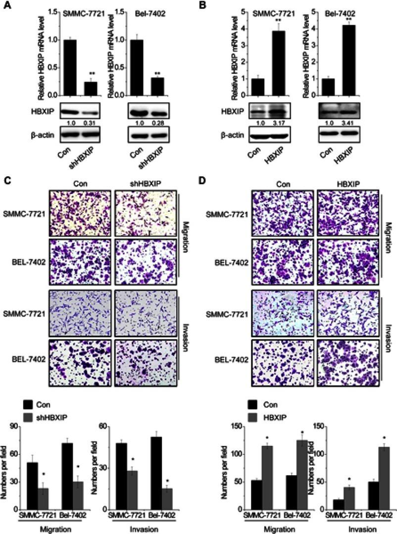 https://cdn.ncbi.nlm.nih.gov/pmc/blobs/92c5/6529033/ffaaeebdb758/CMAR-11-4529-g0002.jpg