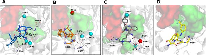 https://cdn.ncbi.nlm.nih.gov/pmc/blobs/92c6/10470492/78650f8a3d42/mbio.01403-23.f003.jpg