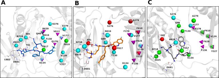 https://cdn.ncbi.nlm.nih.gov/pmc/blobs/92c6/10470492/92c950f4717d/mbio.01403-23.f004.jpg