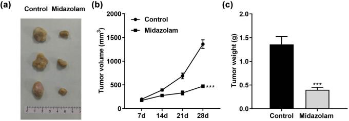 https://cdn.ncbi.nlm.nih.gov/pmc/blobs/92c7/10251164/353632c11dad/j_med-2023-0730-fig006.jpg