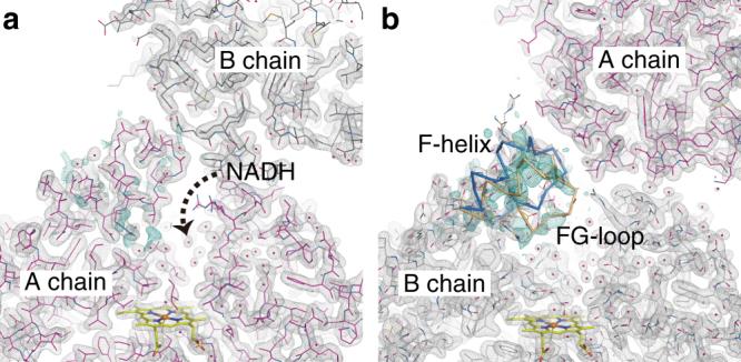 https://cdn.ncbi.nlm.nih.gov/pmc/blobs/92c7/5691058/72525c3079d8/41467_2017_1702_Fig5_HTML.jpg