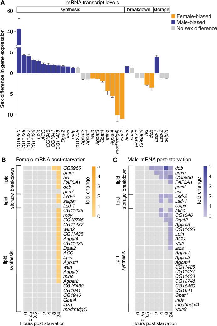 https://cdn.ncbi.nlm.nih.gov/pmc/blobs/92c9/6994176/c0f42a9d7104/pbio.3000595.g003.jpg