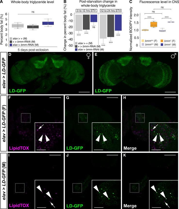https://cdn.ncbi.nlm.nih.gov/pmc/blobs/92c9/6994176/fbe72120d3ab/pbio.3000595.g006.jpg