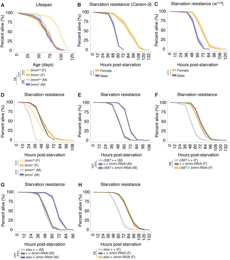 https://cdn.ncbi.nlm.nih.gov/pmc/blobs/92c9/6994176/ff552fed8799/pbio.3000595.g007.jpg
