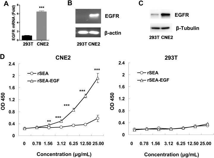 https://cdn.ncbi.nlm.nih.gov/pmc/blobs/92cc/5862366/879d3ce17a0f/10.1177_1533033818762910-fig8.jpg