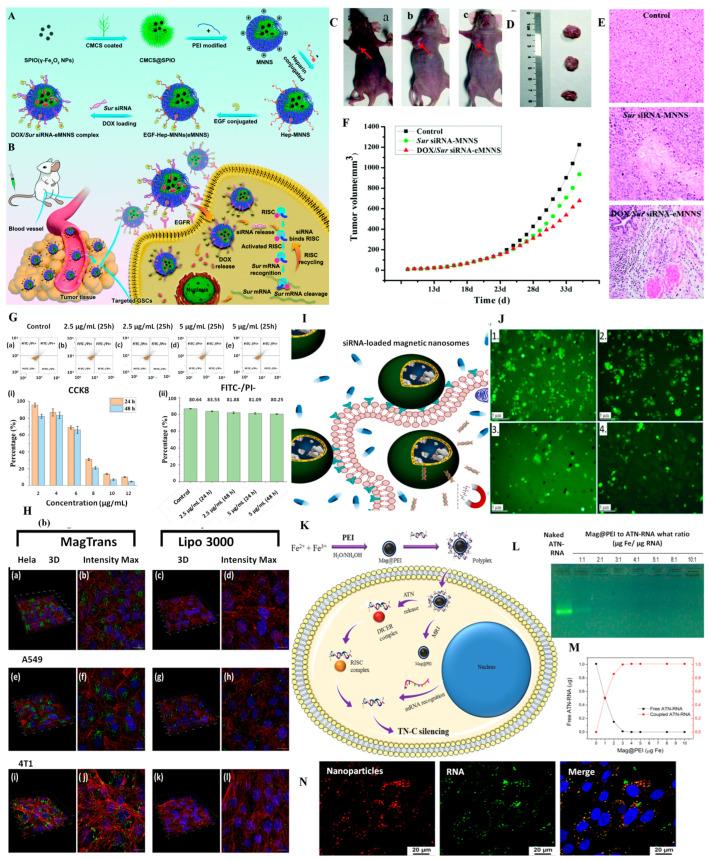 https://cdn.ncbi.nlm.nih.gov/pmc/blobs/92cd/10383769/c2e386d2a81b/pharmaceutics-15-01872-g005.jpg