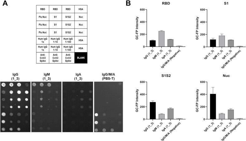 https://cdn.ncbi.nlm.nih.gov/pmc/blobs/92cd/7545244/4b1f28844b07/gr5_lrg.jpg