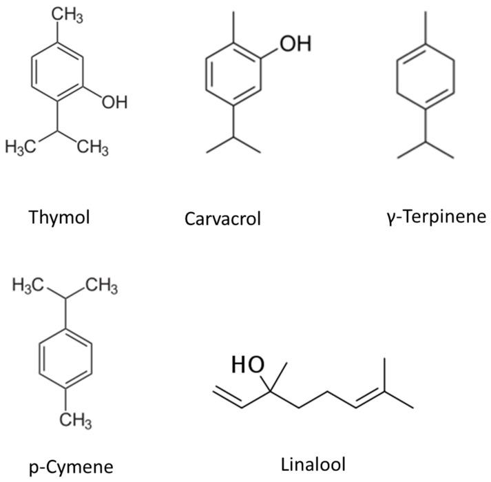https://cdn.ncbi.nlm.nih.gov/pmc/blobs/92d0/10138399/8d009226a762/ijms-24-06936-g001.jpg