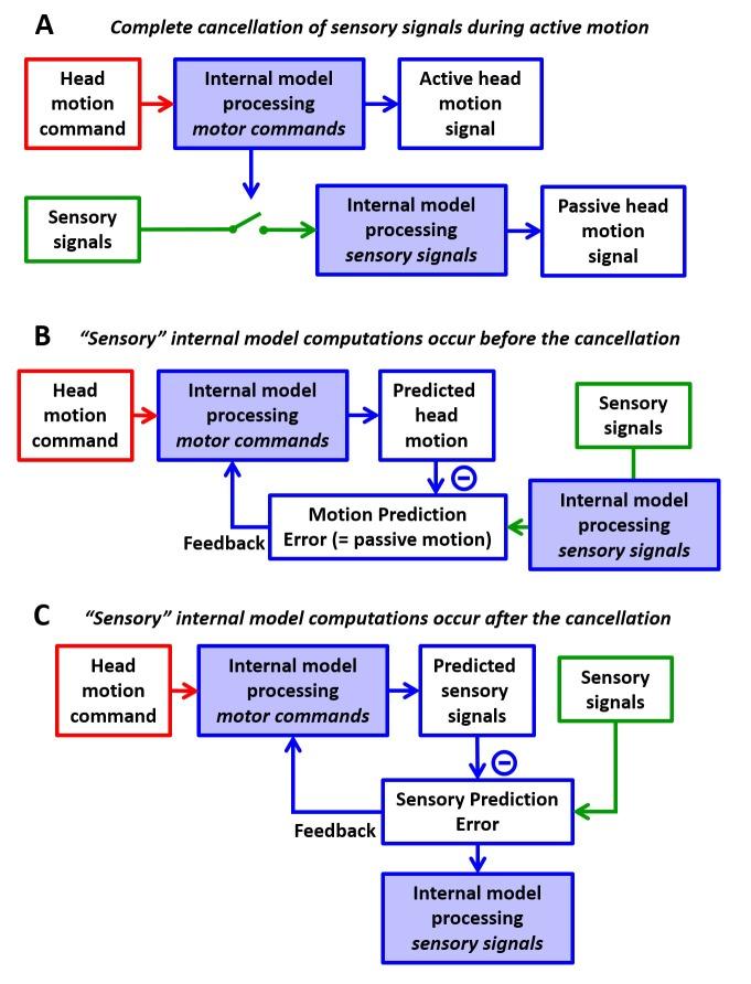 https://cdn.ncbi.nlm.nih.gov/pmc/blobs/92d0/5839740/0657536bb461/elife-28074-fig1-figsupp1.jpg