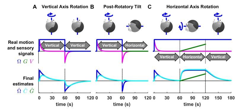 https://cdn.ncbi.nlm.nih.gov/pmc/blobs/92d0/5839740/2f5de1690e98/elife-28074-fig6-figsupp3.jpg