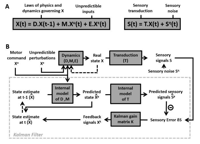https://cdn.ncbi.nlm.nih.gov/pmc/blobs/92d0/5839740/909e61a754b7/elife-28074-fig1-figsupp2.jpg