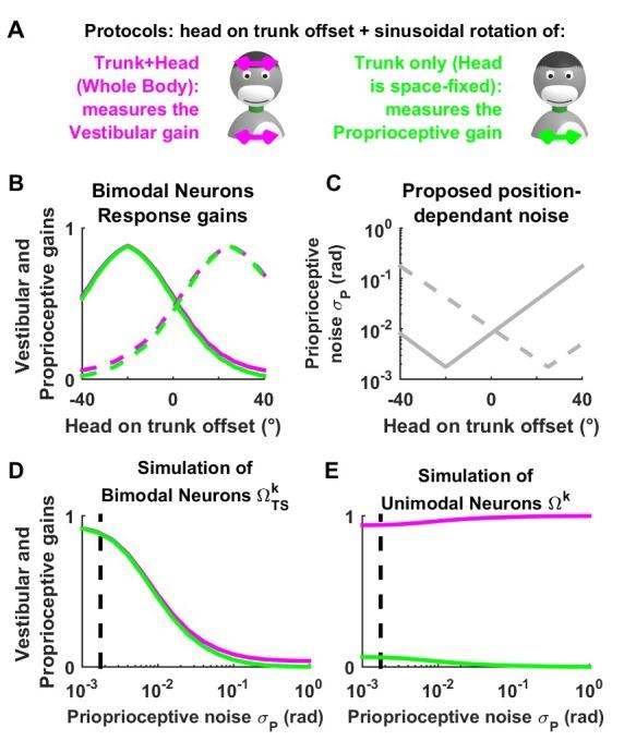 https://cdn.ncbi.nlm.nih.gov/pmc/blobs/92d0/5839740/d35092e45bf9/elife-28074-fig7-figsupp4.jpg