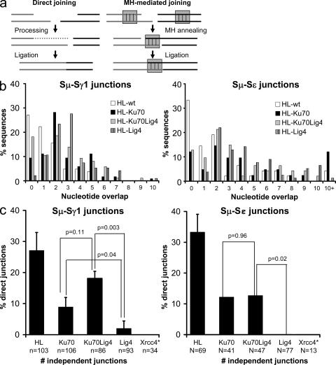 https://cdn.ncbi.nlm.nih.gov/pmc/blobs/92d3/2822597/7ae9c858af29/JEM_20092449_GS_Fig5.jpg