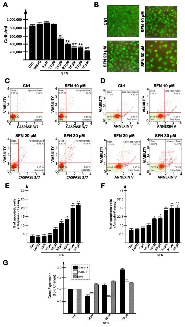 https://cdn.ncbi.nlm.nih.gov/pmc/blobs/92d3/8875359/d5ba0aa486e4/molecules-27-01299-g001.jpg
