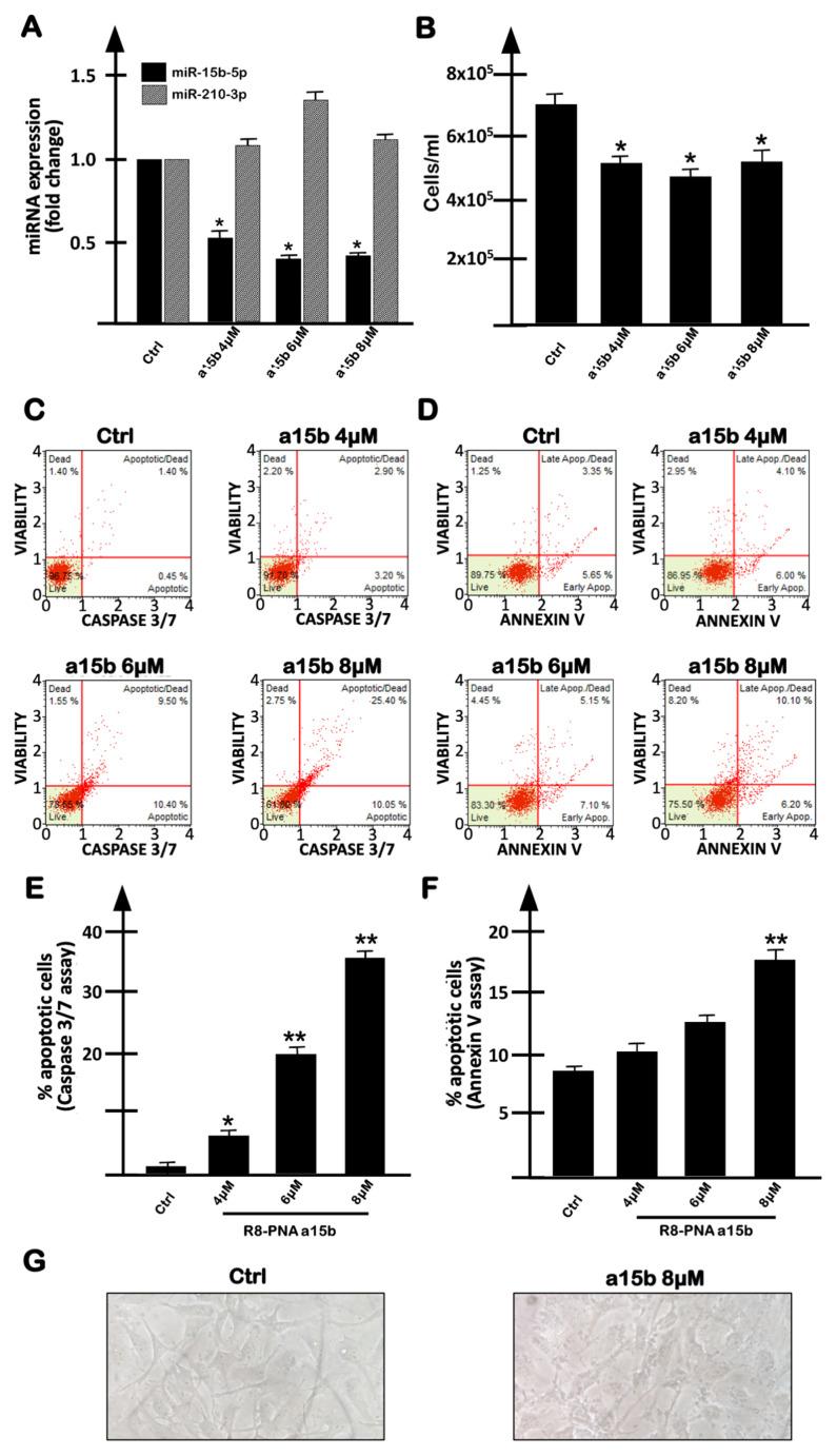 https://cdn.ncbi.nlm.nih.gov/pmc/blobs/92d3/8875359/df26bd88650f/molecules-27-01299-g002.jpg