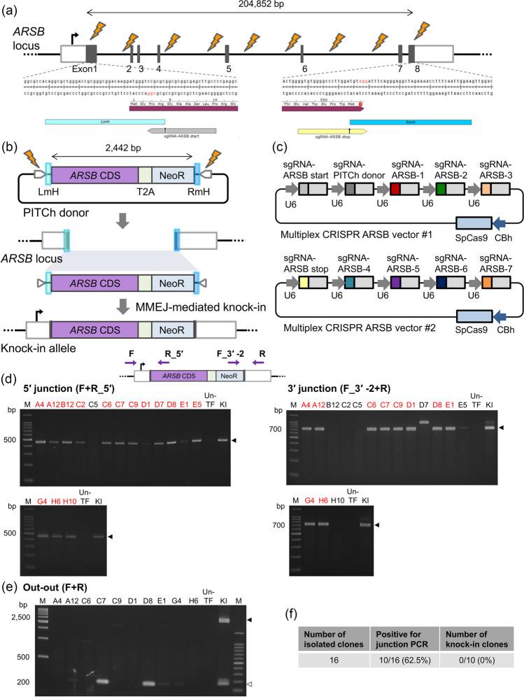 https://cdn.ncbi.nlm.nih.gov/pmc/blobs/92d7/11297102/0aa2f5a5d1dc/11626_2024_850_Fig2_HTML.jpg
