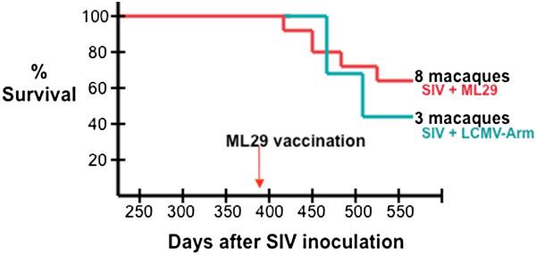 https://cdn.ncbi.nlm.nih.gov/pmc/blobs/92d7/3602176/2de5c3df585b/1743-422X-10-52-3.jpg