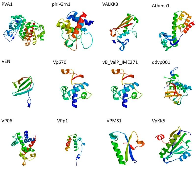 https://cdn.ncbi.nlm.nih.gov/pmc/blobs/92d7/6463129/5d9744d79e8c/microorganisms-07-00084-g001.jpg