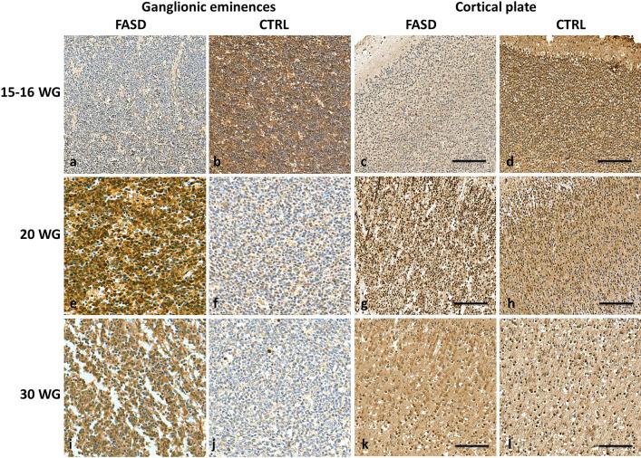 https://cdn.ncbi.nlm.nih.gov/pmc/blobs/92d8/9107108/43094efe172a/40478_2022_1378_Fig2_HTML.jpg