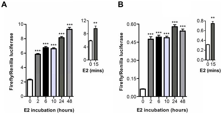 https://cdn.ncbi.nlm.nih.gov/pmc/blobs/92d9/3429467/07fd42f05592/pone.0044160.g005.jpg