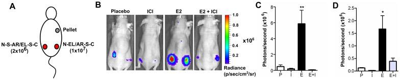 https://cdn.ncbi.nlm.nih.gov/pmc/blobs/92d9/3429467/ee590c765ce8/pone.0044160.g007.jpg