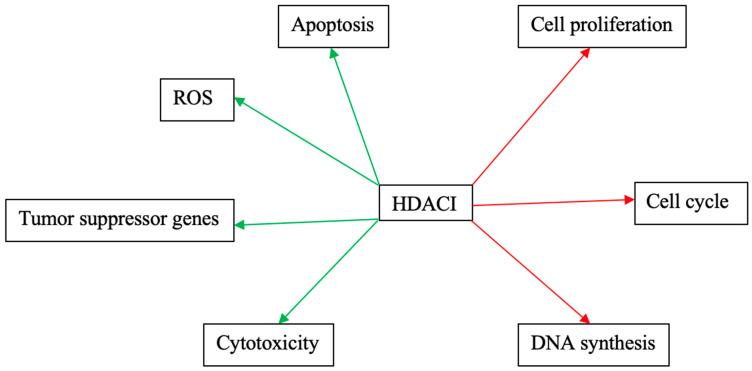 https://cdn.ncbi.nlm.nih.gov/pmc/blobs/92da/10137219/032c16412781/cancers-15-02222-g004.jpg