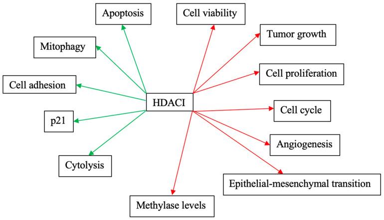 https://cdn.ncbi.nlm.nih.gov/pmc/blobs/92da/10137219/1e5eca33593e/cancers-15-02222-g003.jpg