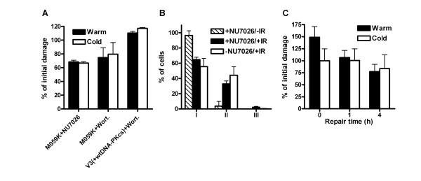 https://cdn.ncbi.nlm.nih.gov/pmc/blobs/92dc/2174948/294081f0528e/1471-2199-8-97-4.jpg