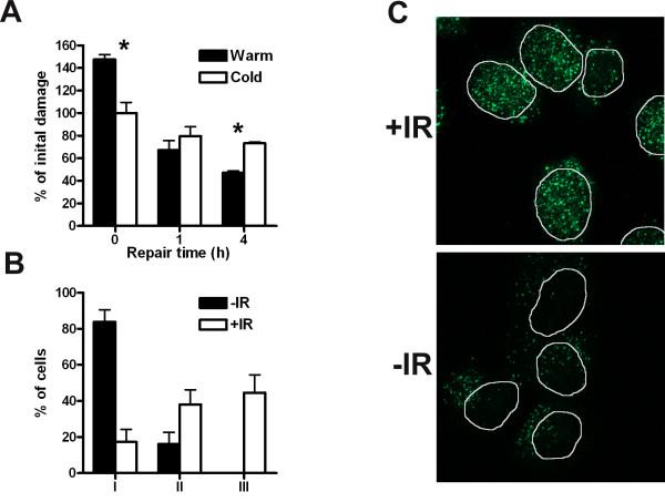 https://cdn.ncbi.nlm.nih.gov/pmc/blobs/92dc/2174948/330eb5f9a284/1471-2199-8-97-5.jpg