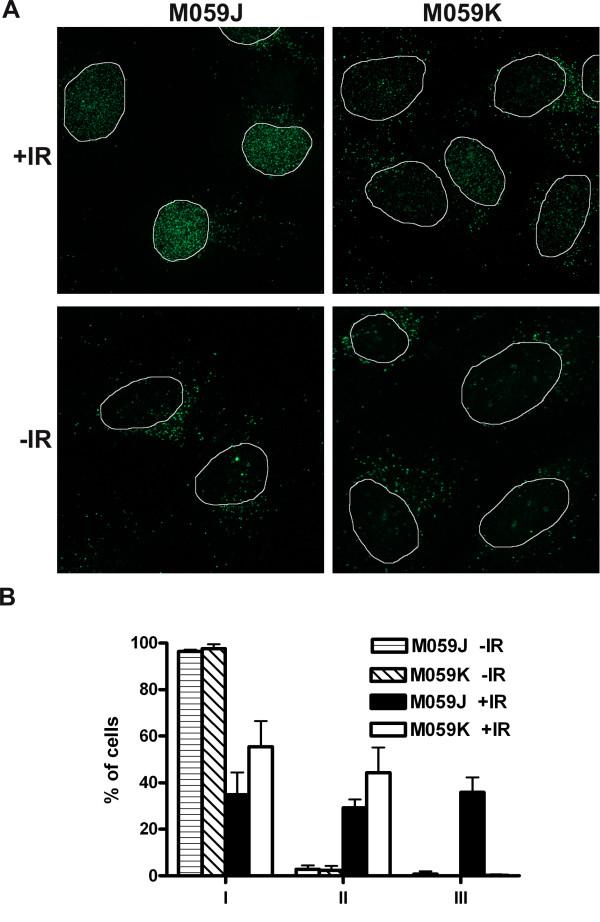 https://cdn.ncbi.nlm.nih.gov/pmc/blobs/92dc/2174948/6bb07d93cd4a/1471-2199-8-97-3.jpg