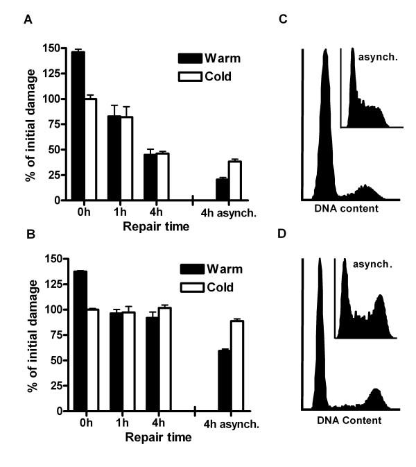 https://cdn.ncbi.nlm.nih.gov/pmc/blobs/92dc/2174948/b426e6f4bfc5/1471-2199-8-97-6.jpg