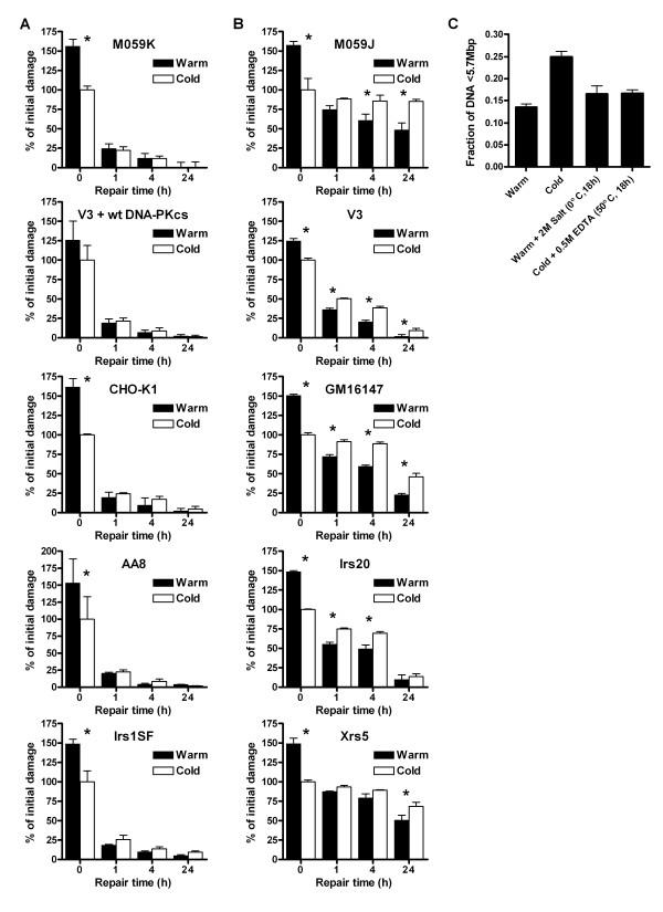 https://cdn.ncbi.nlm.nih.gov/pmc/blobs/92dc/2174948/cb761bb6060e/1471-2199-8-97-1.jpg