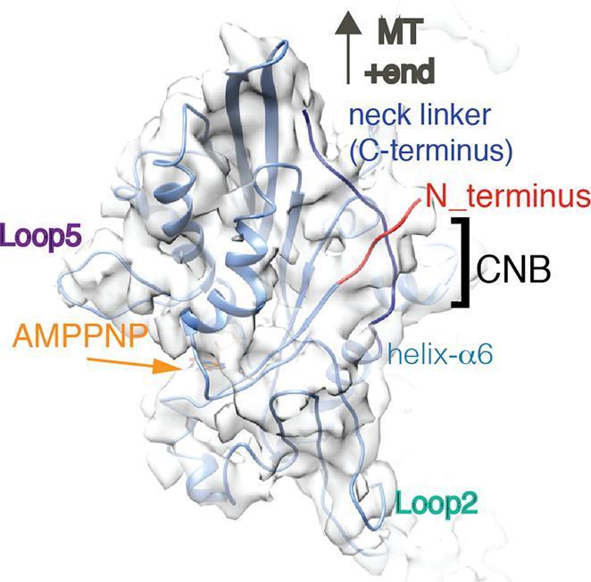 https://cdn.ncbi.nlm.nih.gov/pmc/blobs/92dc/6722389/80c03c9f6253/ga1.jpg