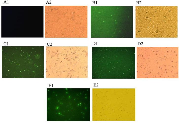 https://cdn.ncbi.nlm.nih.gov/pmc/blobs/92dc/9661687/e513128dde3e/RPS-17-527-g011.jpg