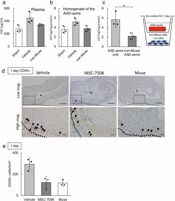 https://cdn.ncbi.nlm.nih.gov/pmc/blobs/92dd/11384757/479f105240c2/43856_2024_597_Fig6_HTML.jpg