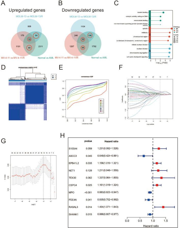 https://cdn.ncbi.nlm.nih.gov/pmc/blobs/92dd/12202665/049c6445b2ad/fphar-16-1574759-g003.jpg