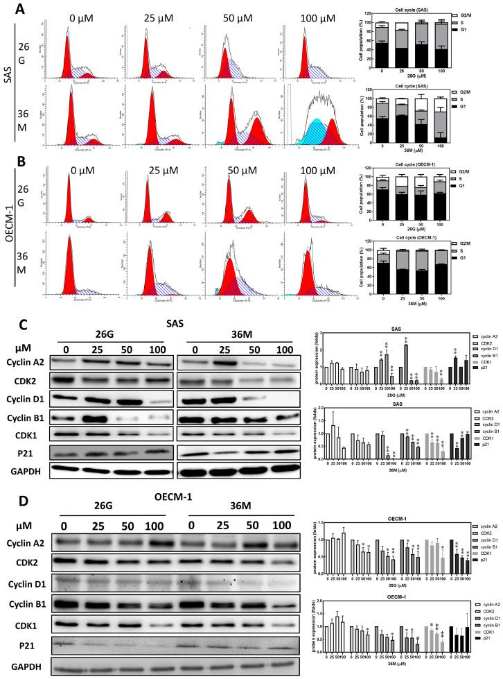 https://cdn.ncbi.nlm.nih.gov/pmc/blobs/92de/10298160/90562bfe99f2/ijms-24-09819-g002.jpg