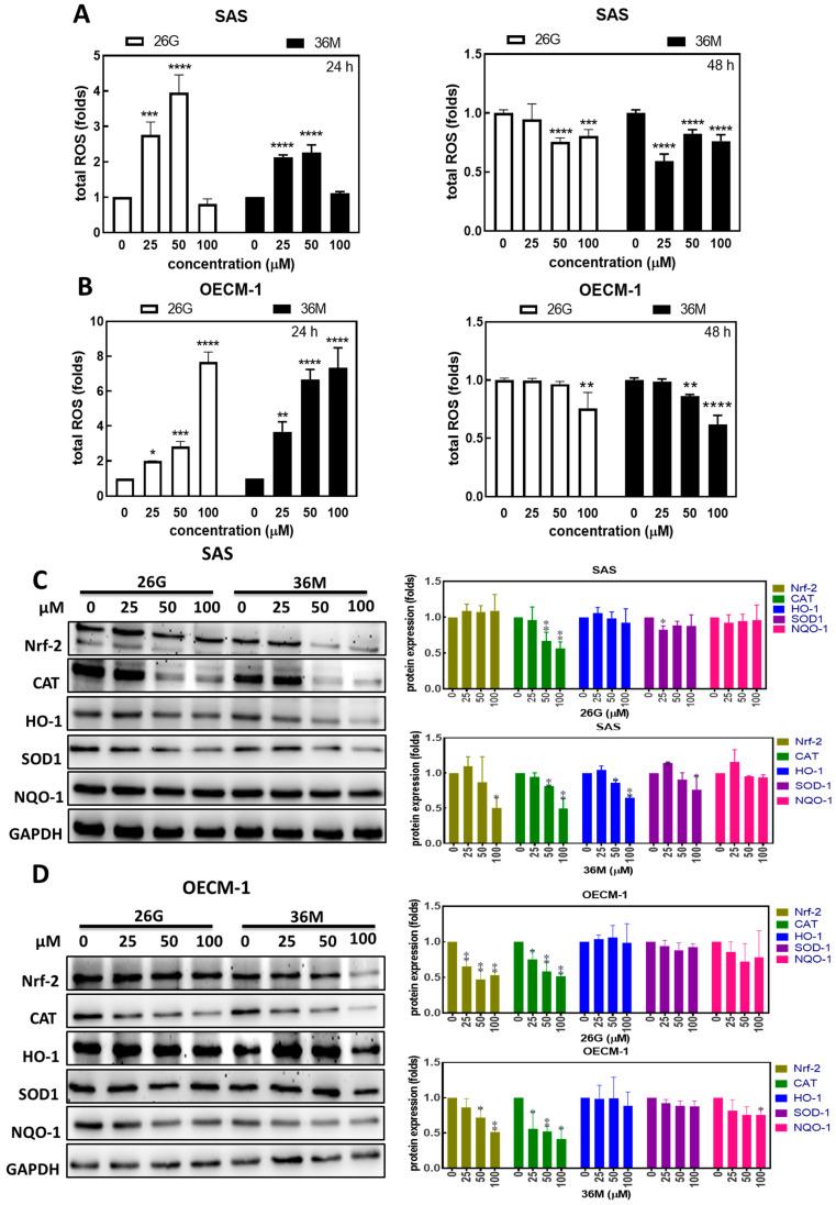 https://cdn.ncbi.nlm.nih.gov/pmc/blobs/92de/10298160/b38cf01a6e5e/ijms-24-09819-g003.jpg
