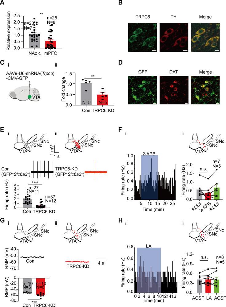 https://cdn.ncbi.nlm.nih.gov/pmc/blobs/92de/11623934/2e59b43de424/elife-88319-fig5.jpg