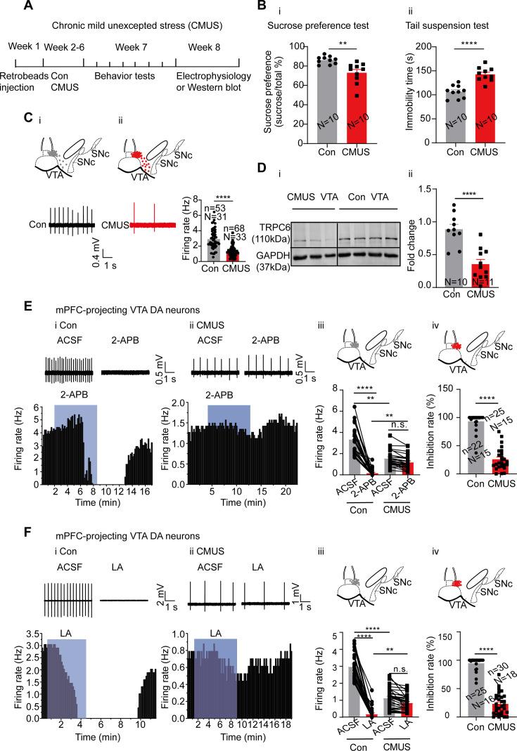 https://cdn.ncbi.nlm.nih.gov/pmc/blobs/92de/11623934/789bf8fad922/elife-88319-fig6.jpg