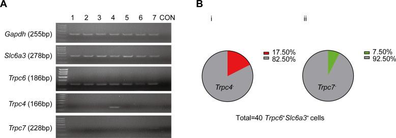 https://cdn.ncbi.nlm.nih.gov/pmc/blobs/92de/11623934/922edf1897df/elife-88319-fig5-figsupp1.jpg