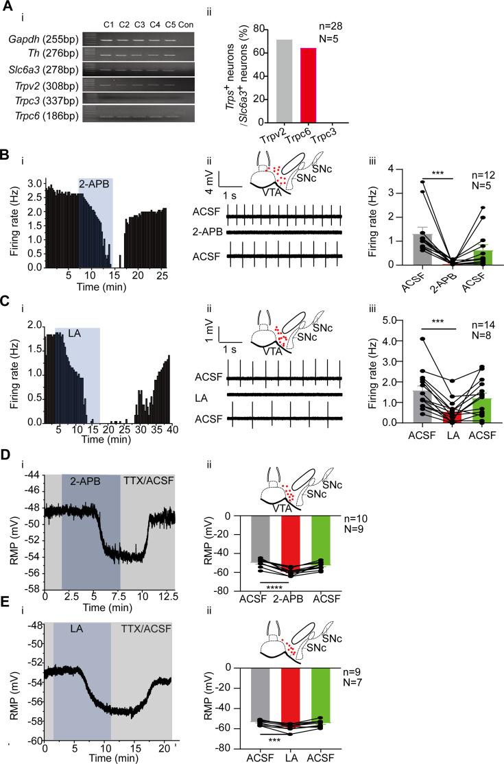 https://cdn.ncbi.nlm.nih.gov/pmc/blobs/92de/11623934/d76b420ba64c/elife-88319-fig4.jpg